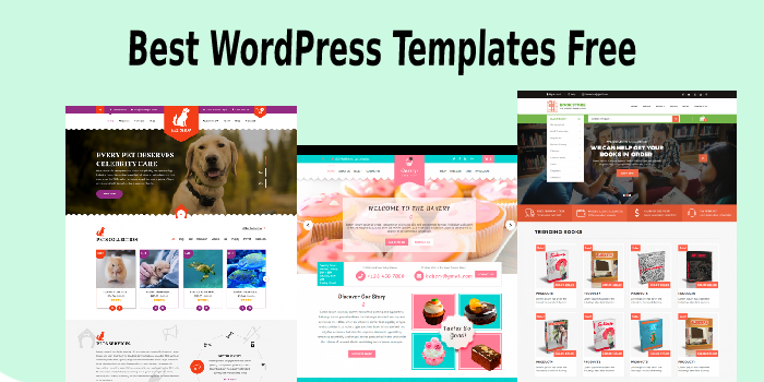 Best WordPress Templates Free To Spark Up Your Web Designing