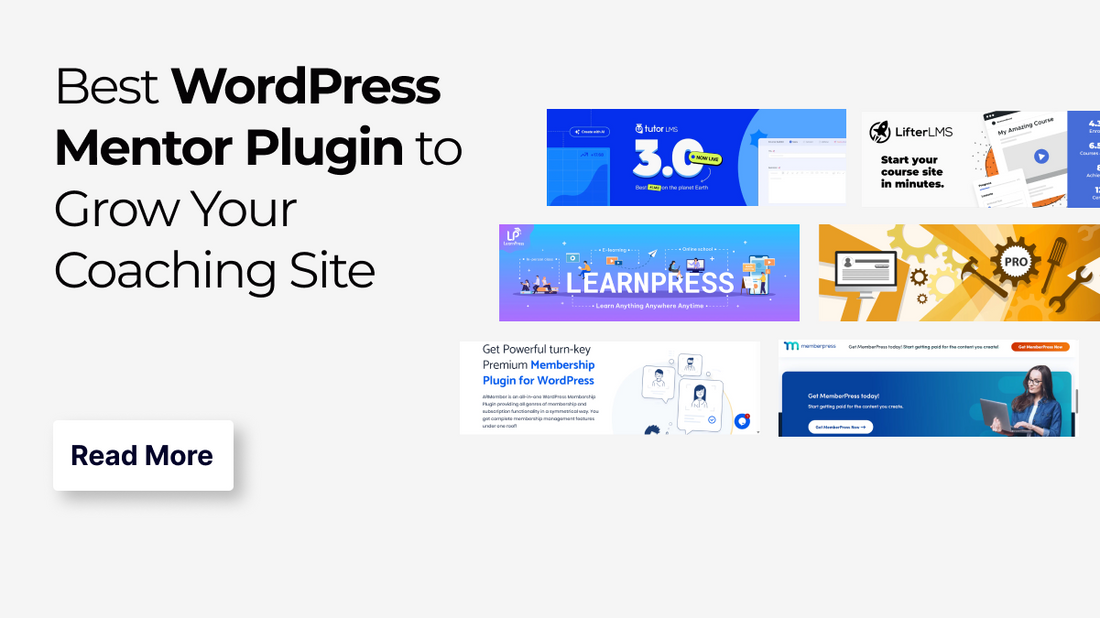 Best WordPress Mentor Plugin