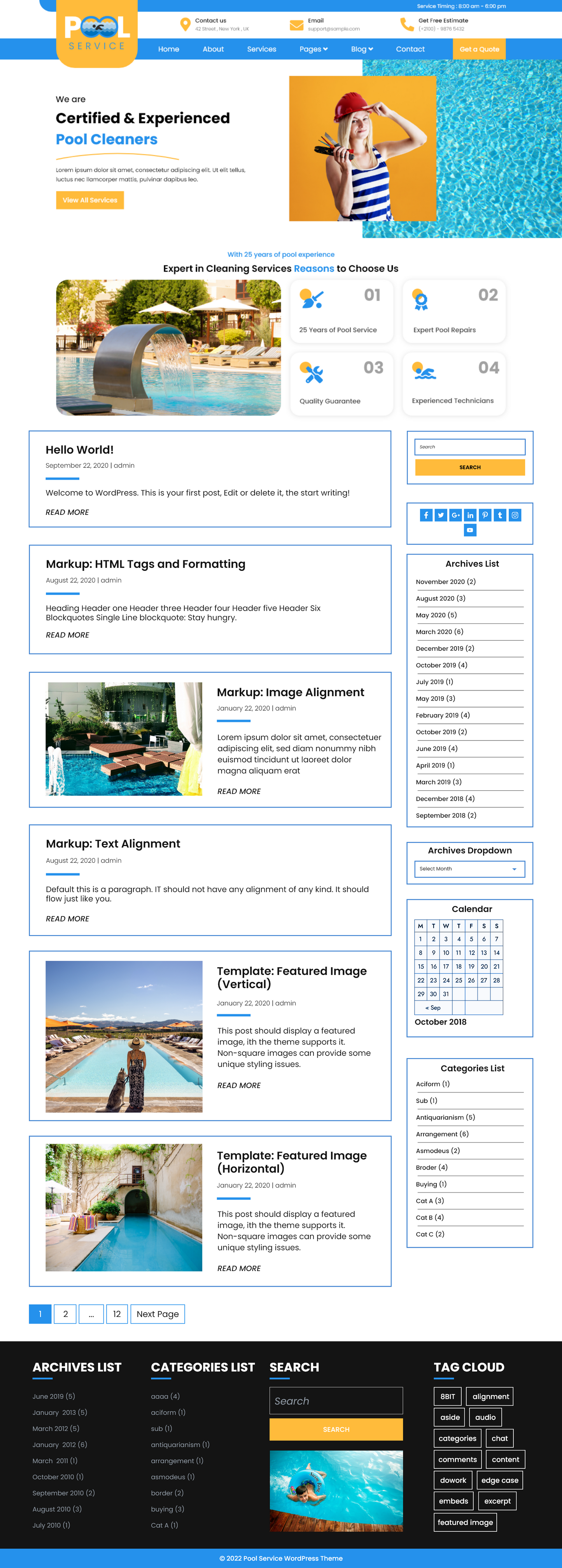 Free Pool Cleaning WordPress theme