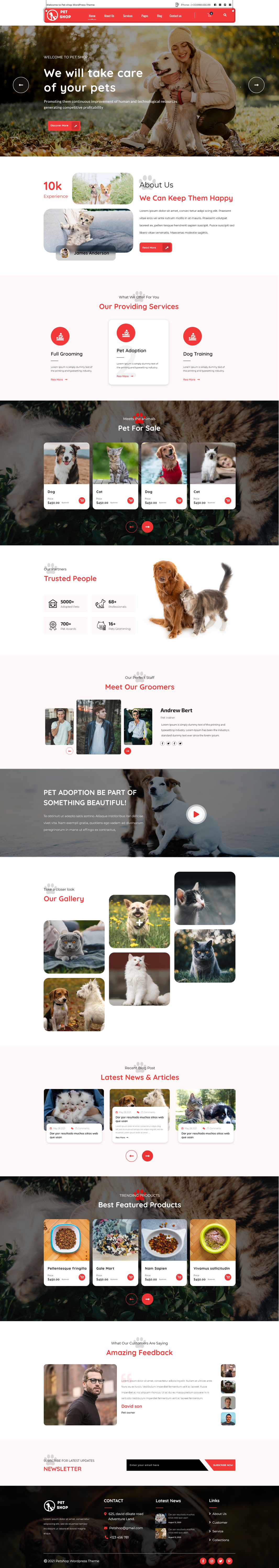 Buy WordPress Templates Get The Best WordPress Templates Buywptemplates