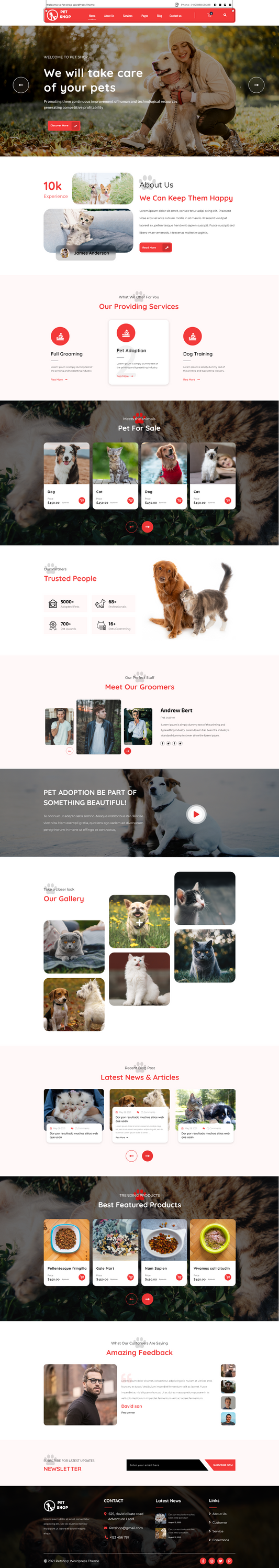 Pet Rescue WordPress Theme