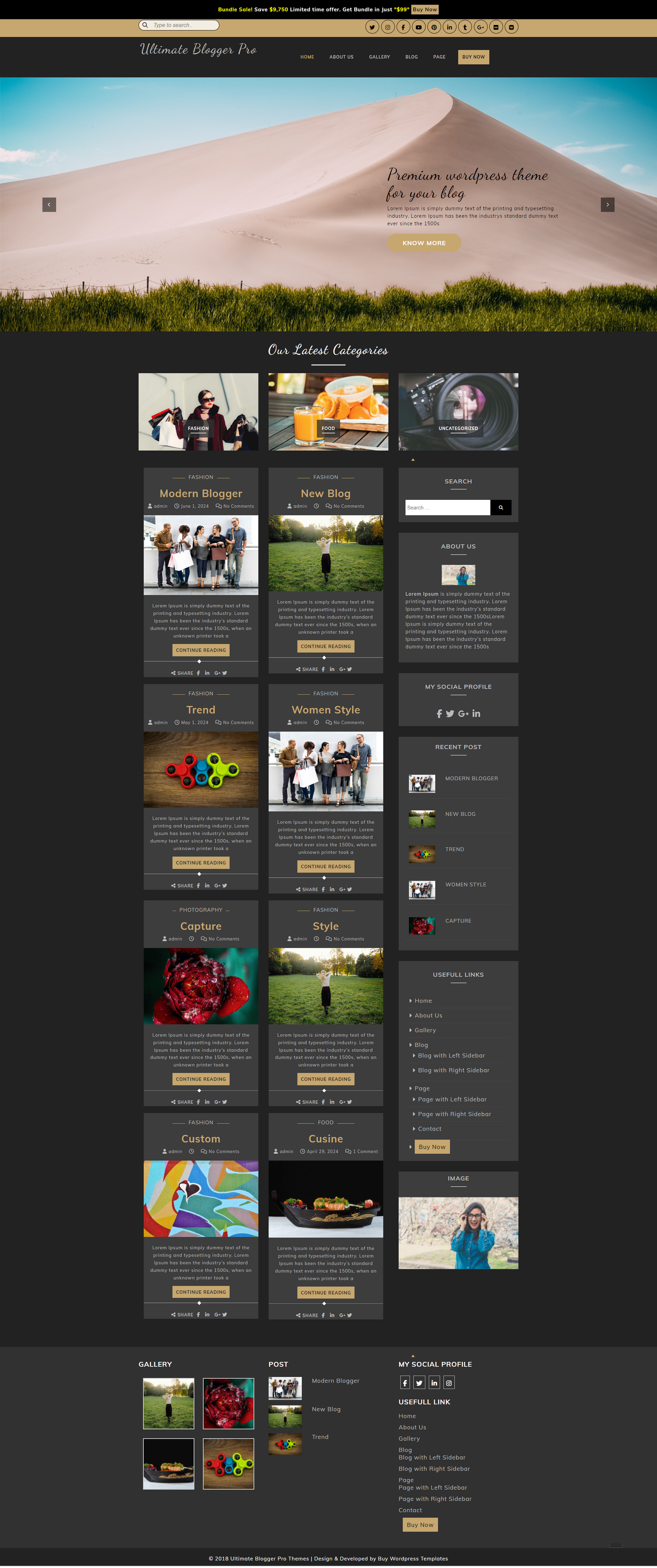 Premium Ultimate Blogger WordPress Theme