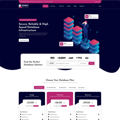 Database WordPress Theme