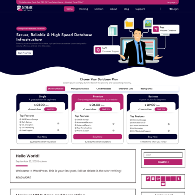 Free Database Agency WordPress Theme