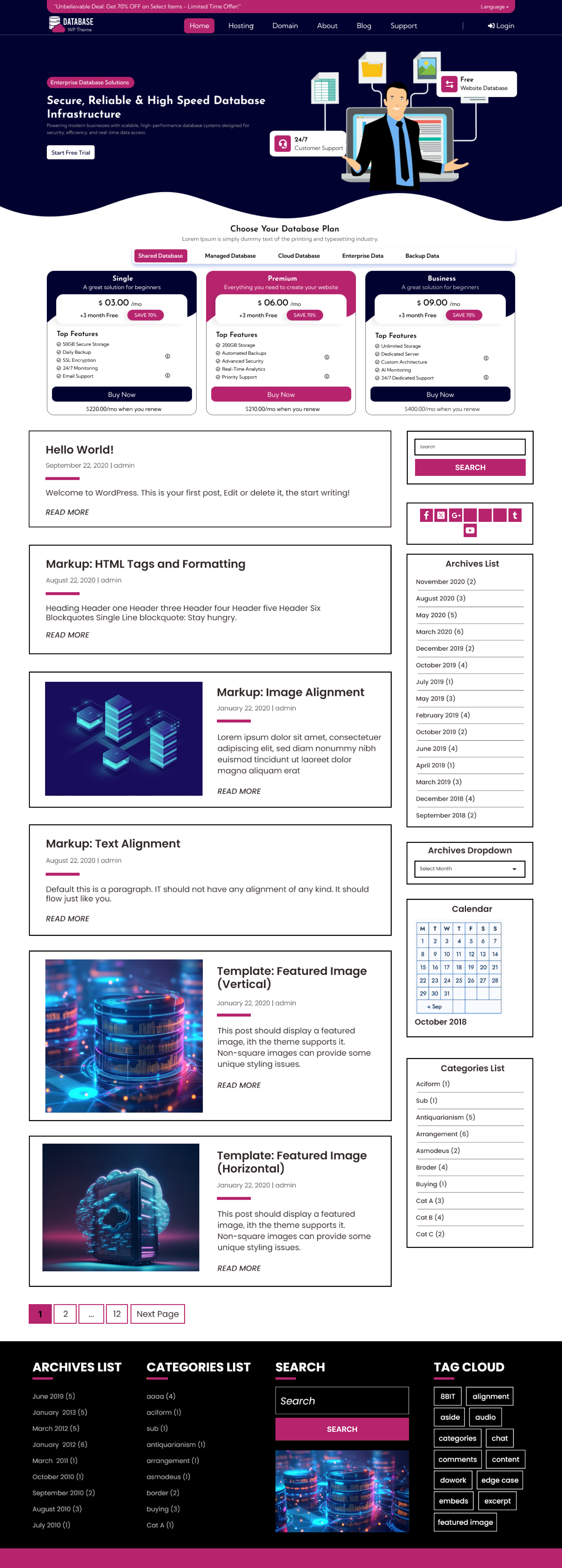 Free Database Agency WordPress Theme